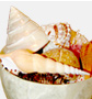 Philippine Assorted Shell Product